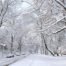 Winter Day in Grand Rapids Michigan Area