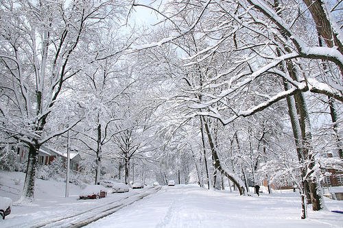 Winter Day in Grand Rapids Michigan Area